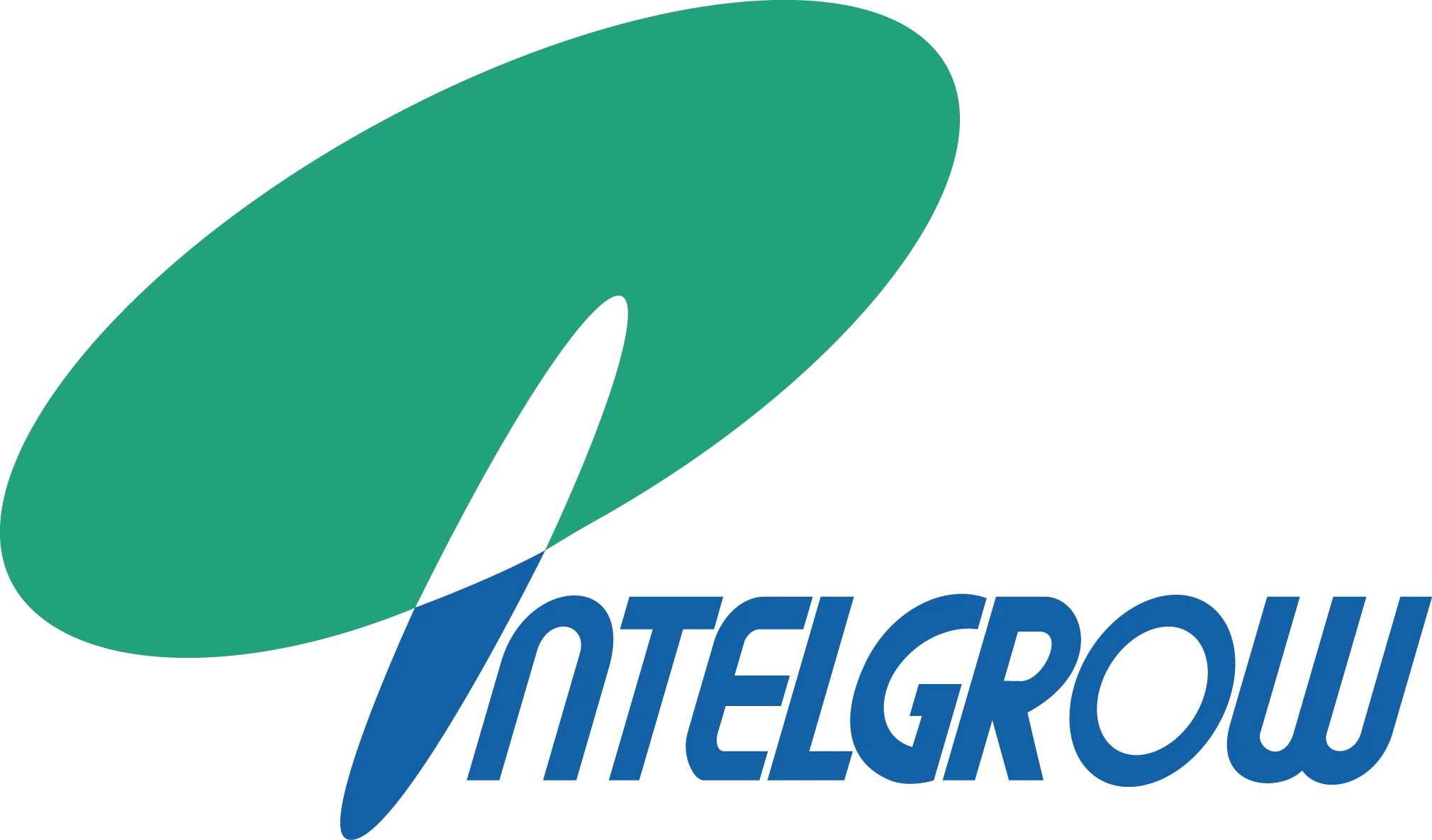 株式会社インテルグロー